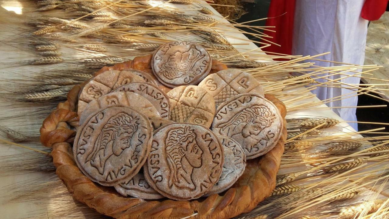 Casa Busi
